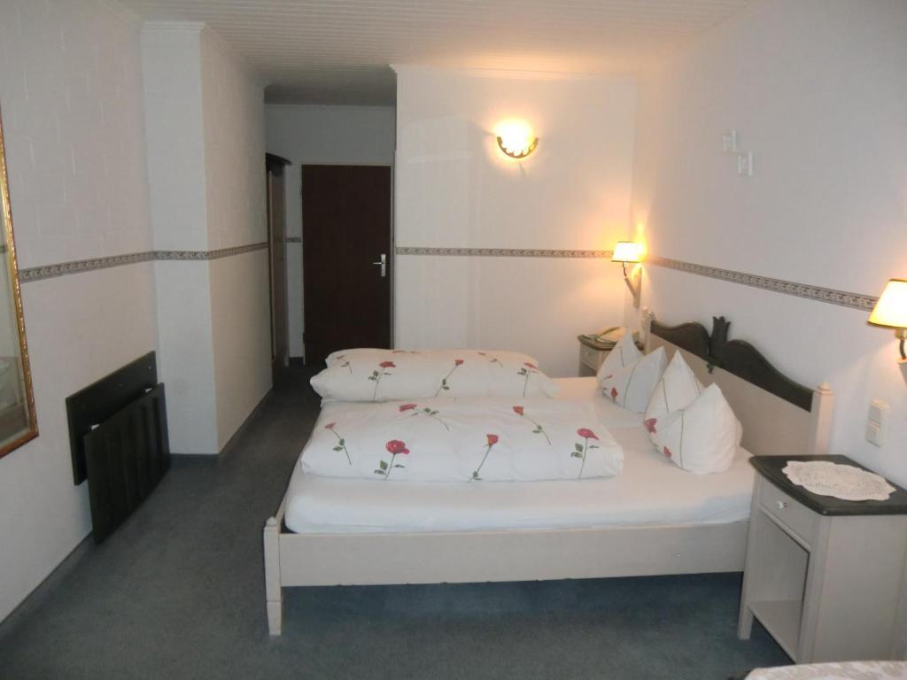 Hotel Schlossgarten Gladenbach Kamer foto